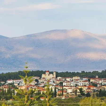 In The Olive Trees Εξοχικό σπίτι *