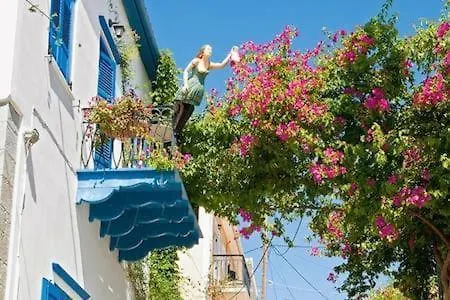 In The Olive Trees * Γαλαξίδι