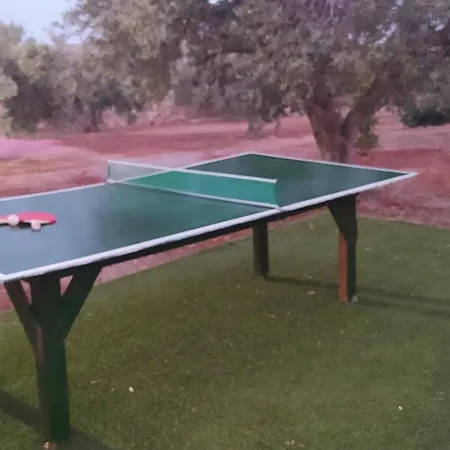 In The Olive Trees