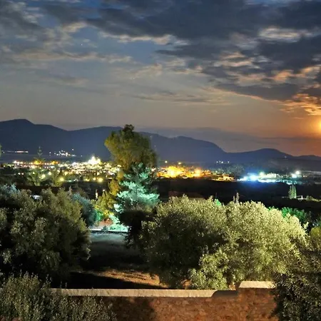 In The Olive Trees *