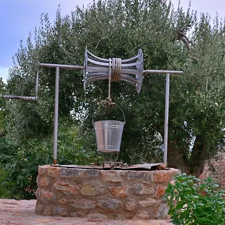 In The Olive Trees Kır Evi