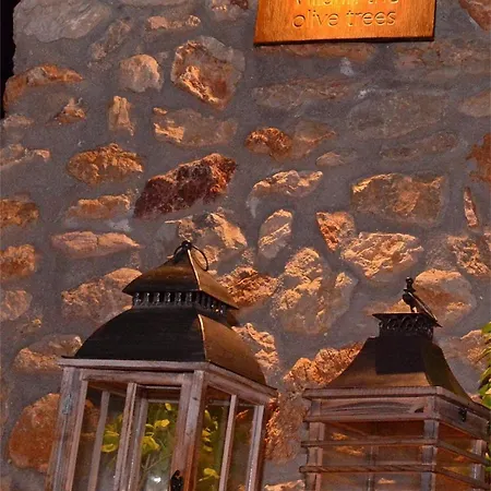 In The Olive Trees Γαλαξίδι