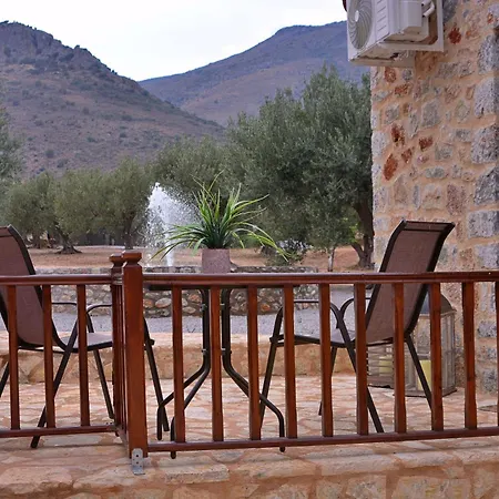 In The Olive Trees *