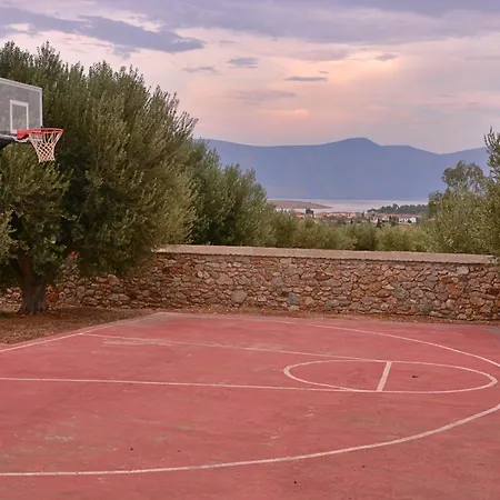 In The Olive Trees Γαλαξίδι