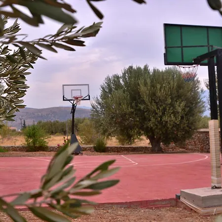 In The Olive Trees Εξοχικό σπίτι Γαλαξίδι