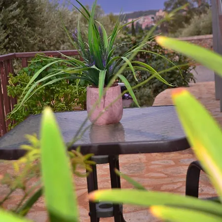 In The Olive Trees Εξοχικό σπίτι