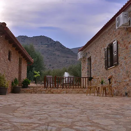 Landsted In The Olive Trees