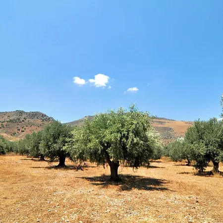 In The Olive Trees Venkovský dům Galaxídhion